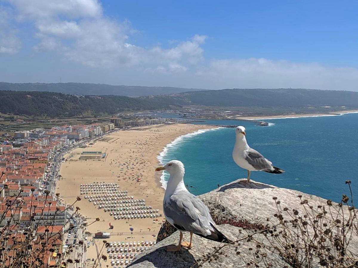 Apartamento Blue Boat House - The Atlantic Breeze Nazaré Exterior foto